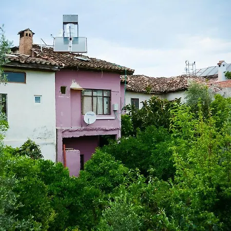 Guest house Villa Verde 2*