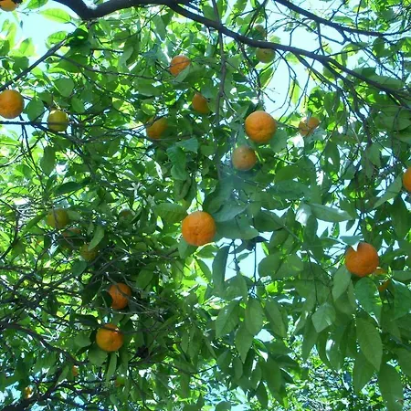 Guest house Villa Verde Antalya